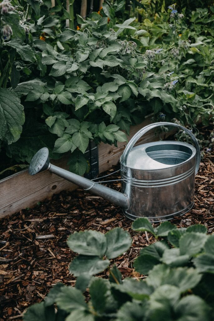 watering can